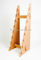 O suporte de exposição de madeira contínuo simples projeta 8 do skate partes de cremalheira de exposição fornecedor